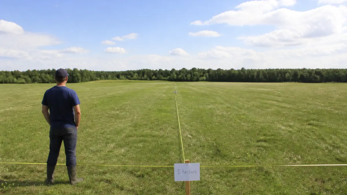 1 hectare en m2 : conversion simple et exemples concrets